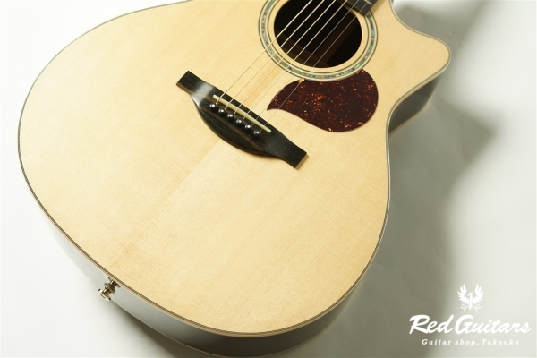 F130-GA Sitka Spruce / Indian Rosewood